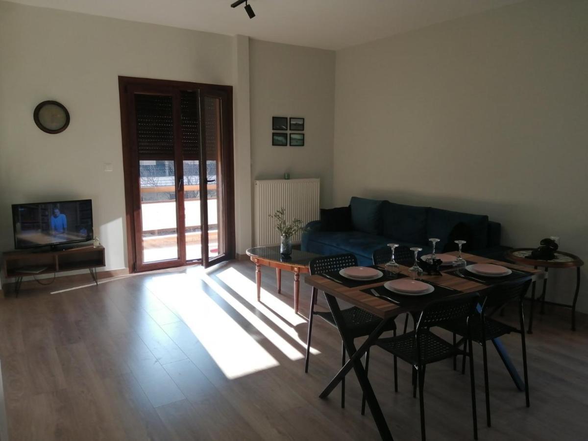 Ferienwohnung Eleana Ioannina Exterior foto